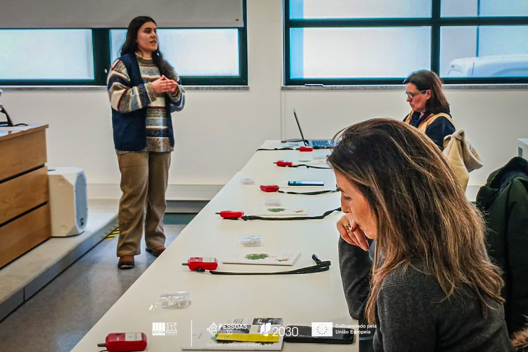 sem título (5 de 28)