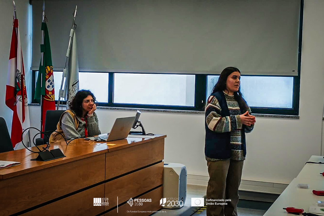 sem título (6 de 28)